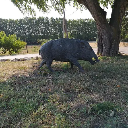 Сasa de vacaciones La Rajoleria Desconectar. Lloguer 30.