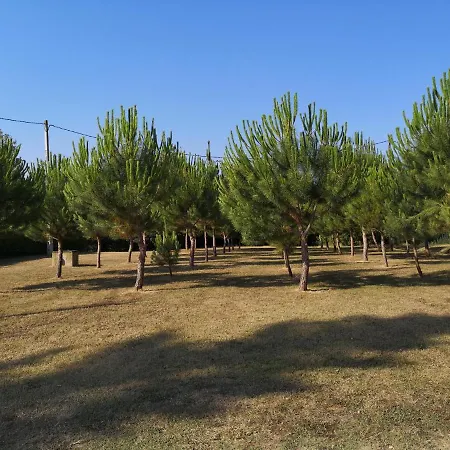 Holiday home Lloguer30 La Rajoleria Desconectar